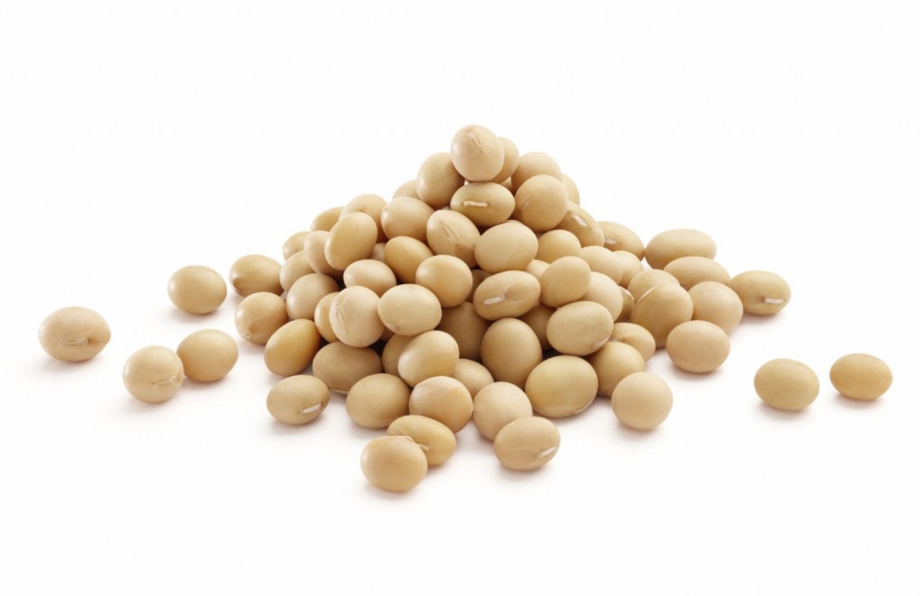 proteine-de-soja