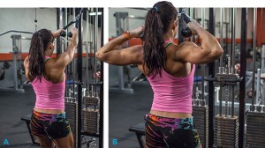 erin_sterns_elite_body_back_1