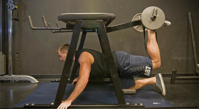 Pendulum-Quadruped-Hip-Extension