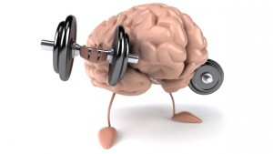 muscle-mind-connection