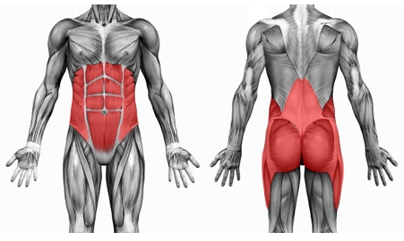 Programme musculation running