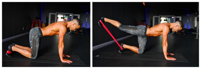 quadruped-hip-extension fessiers band
