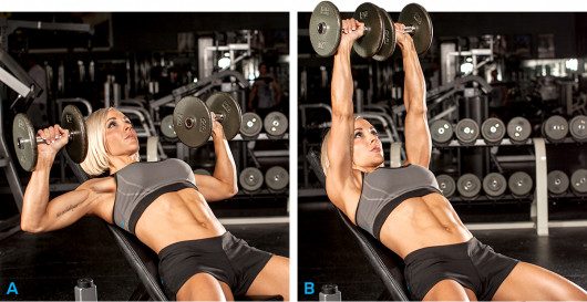 Programme musculation débutante salle de sport