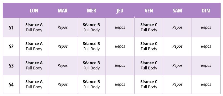 planning-programme-musculation-femme-debutante