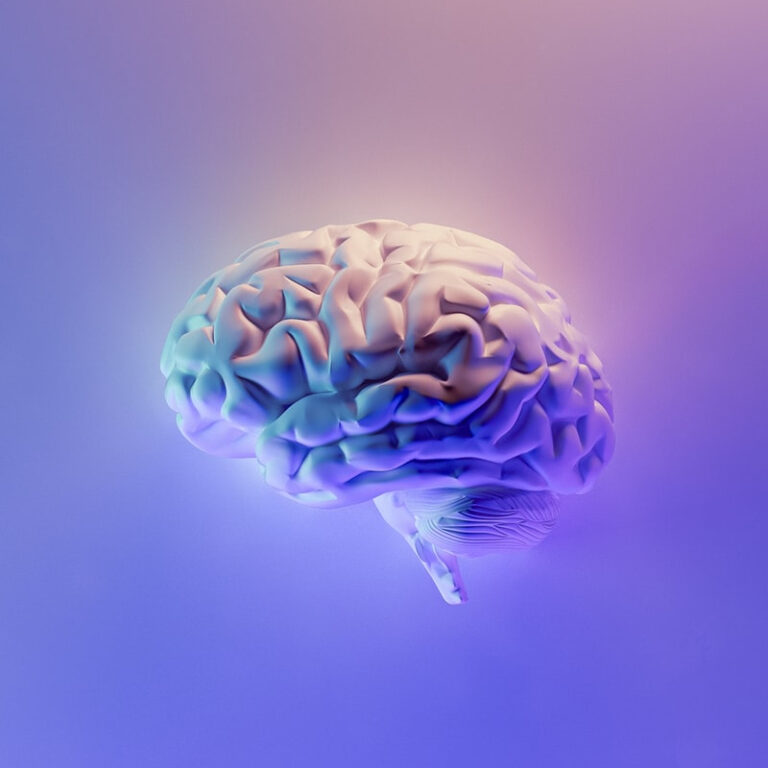 hacker son cerveau