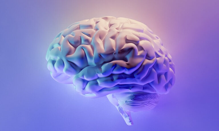 hacker son cerveau
