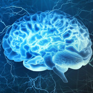 Programme et stratégies anti-âge pour un cerveau rajeuni